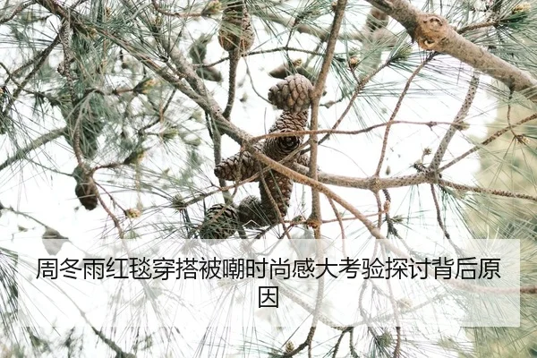 zhou-dong-yu-hong-tan-chuan-da-bei-chao-shi-shang-gan-da-kao-yan-tan-tao-bei-hou-yuan-yin-2-222.jpg